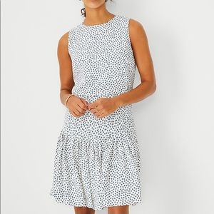 NWT Floral Pleated Flare Dress